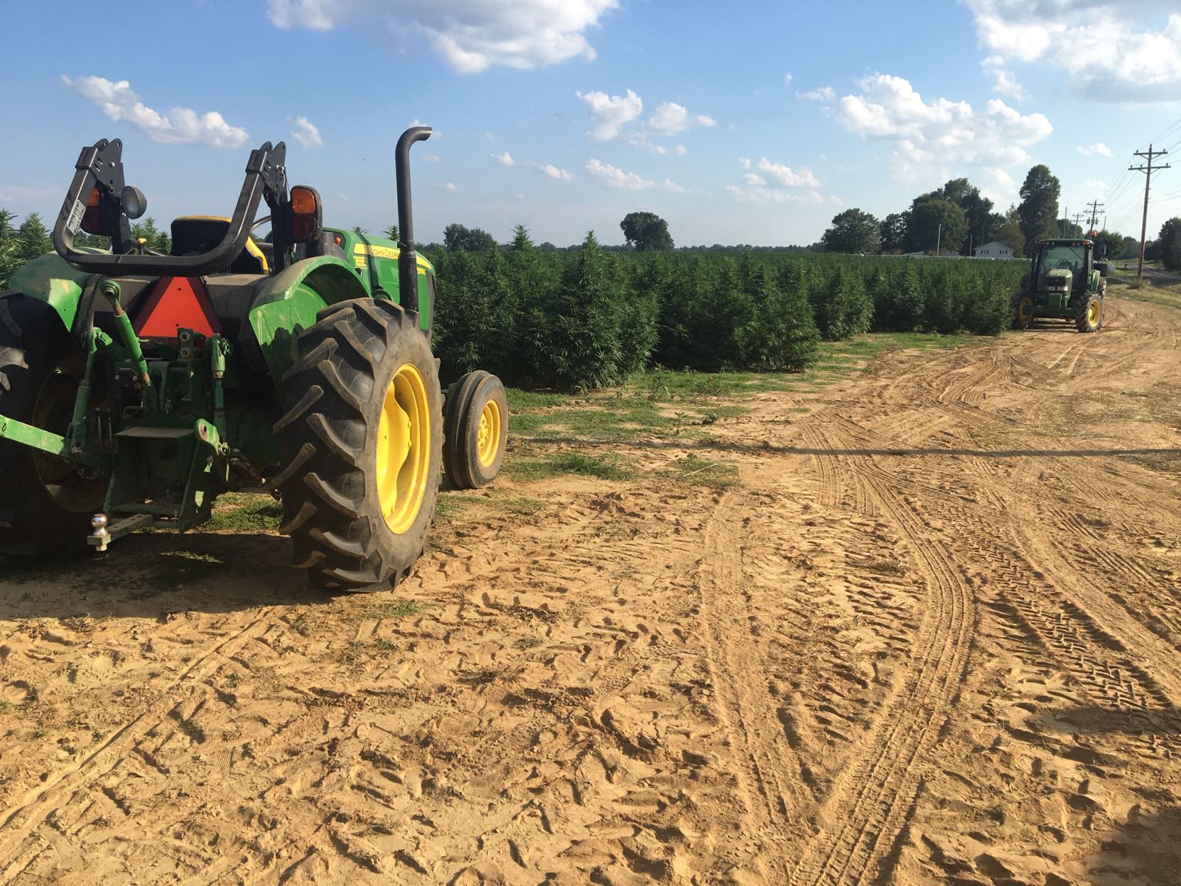 Justin Clark hemp farm2